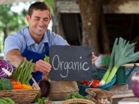 Organic Food and Drink - UK - September 2012