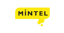 Mintel Reports Academic